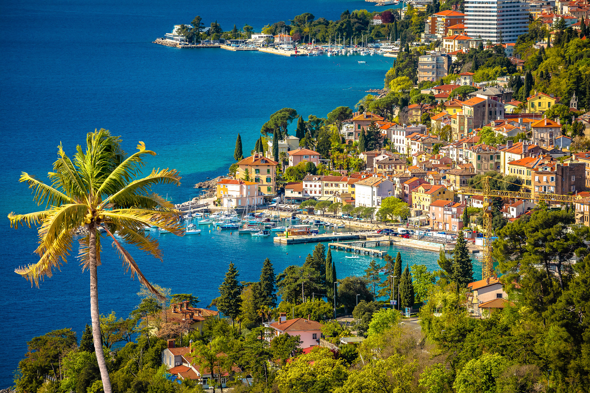 Opatija’s waterfront and marina seen from above, with red-roofed buildings and a palm tree in the foreground.