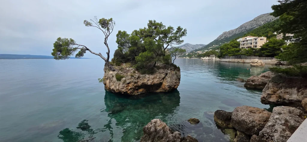 Brela Stone, a rocky islet topped with pine trees in clear coastal water