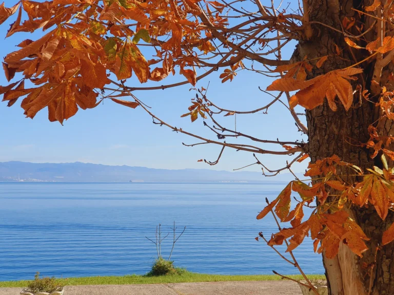 Orange autumn leaves frame a calm stretch of sea and distant mountains on the Croatian coast.