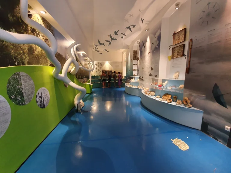 Museum exhibit in Croatia with shell displays, bird silhouettes and a glossy blue floor.
