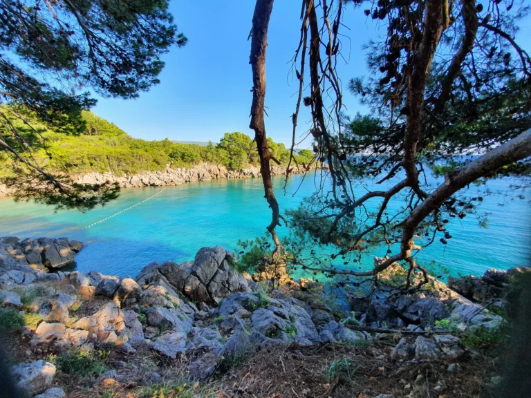 Rocky, pine-fringed cove with clear turquoise water on the Croatian coast