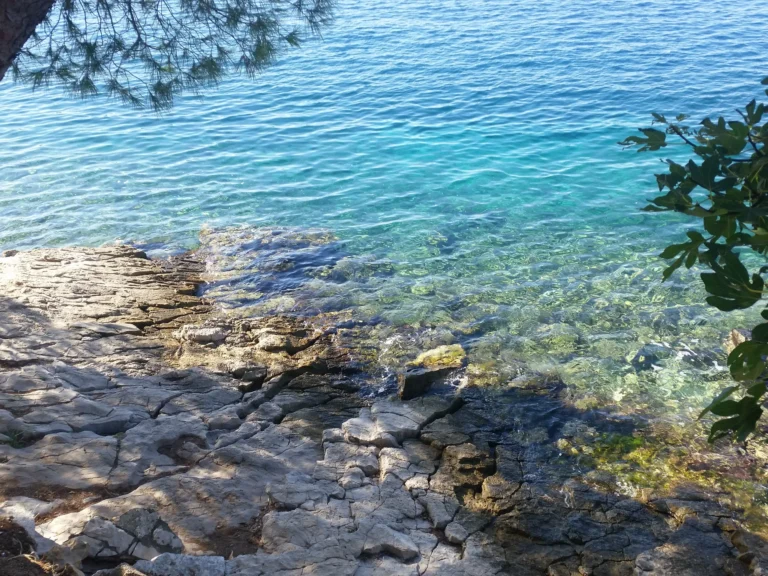 Clear turquoise water laps against a rocky Croatian shore shaded by overhanging trees.