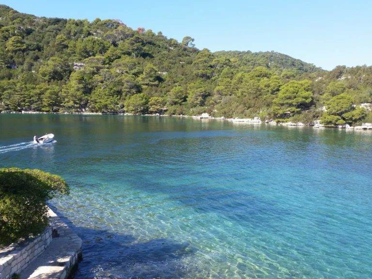 A small boat crosses clear water beside a pine-covered rocky cove in Croatia.
