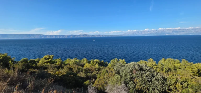 Panoramic view across the blue Adriatic, with coastal scrub in the foreground and mountains on the distant shore.