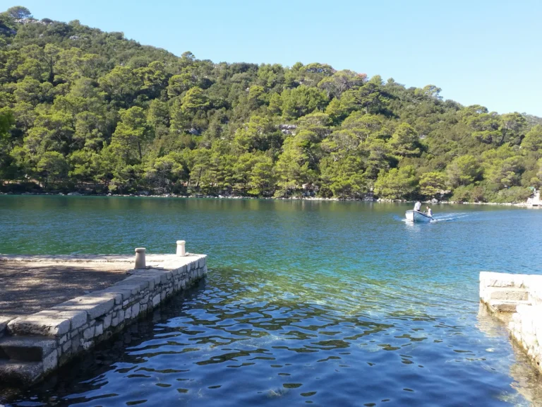 A small boat crosses a sheltered inlet bordered by a wooded shore, with stone landing steps in the foreground.