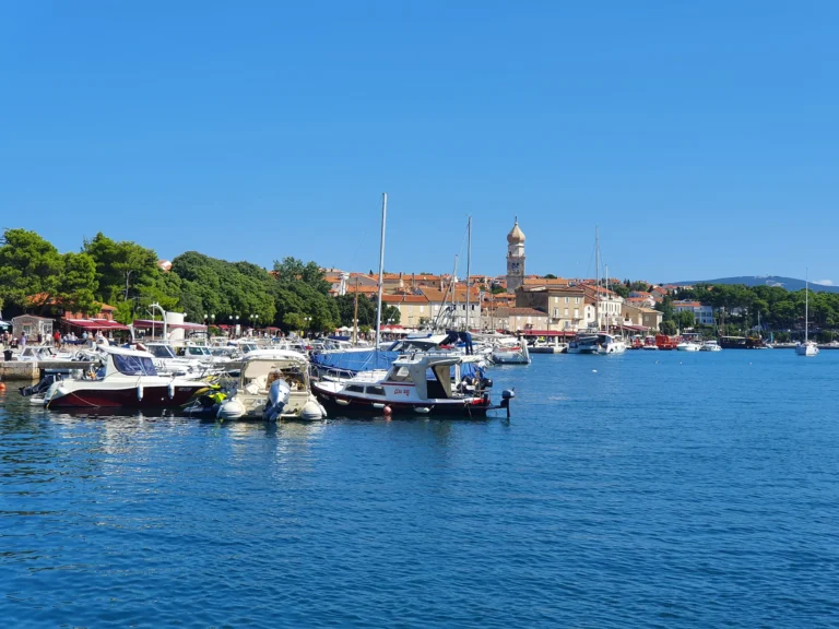 Boats moored in a coastal harbour below red-roofed buildings and a church tower.