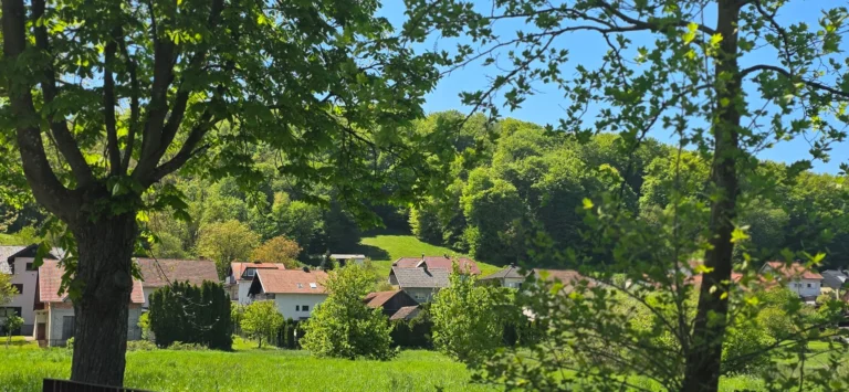 Rural houses and green hills seen through the leafy branches of a large tree