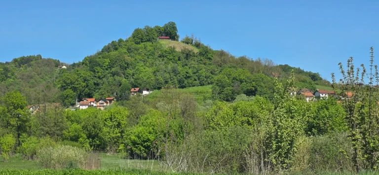 Green wooded hill with scattered houses and fields beneath a clear blue sky