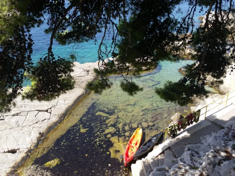 Clear turquoise water along a rocky Croatian shore, shaded by pine branches, with kayaks beside stone steps.