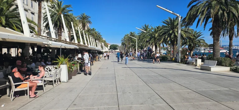 A busy waterfront promenade lined with palm trees, cafés and marina boats.
