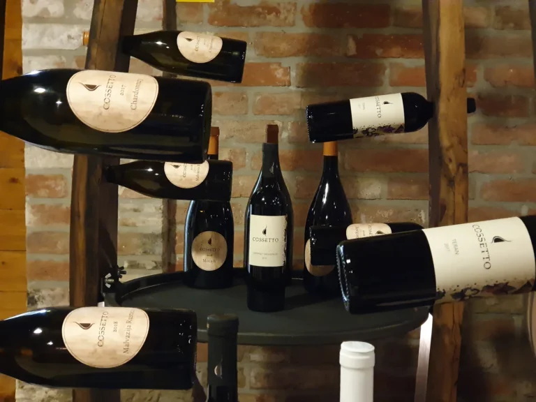 Wine bottles, including Malvazija and Teran, displayed against a brick wall in a cellar.