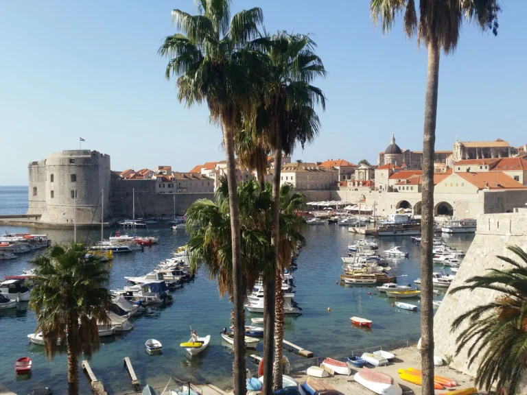 Boats fill Dubrovnik's Old Town harbour, with historic stone walls and terracotta roofs behind palm trees.