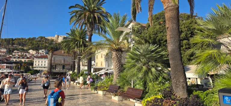 Palm-lined square in Hvar Town, with terracotta rooftops and a hilltop fortress beyond.