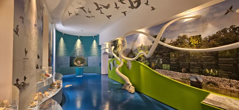 Nature exhibition hall with bird displays, landscape panels and a winding white installation.