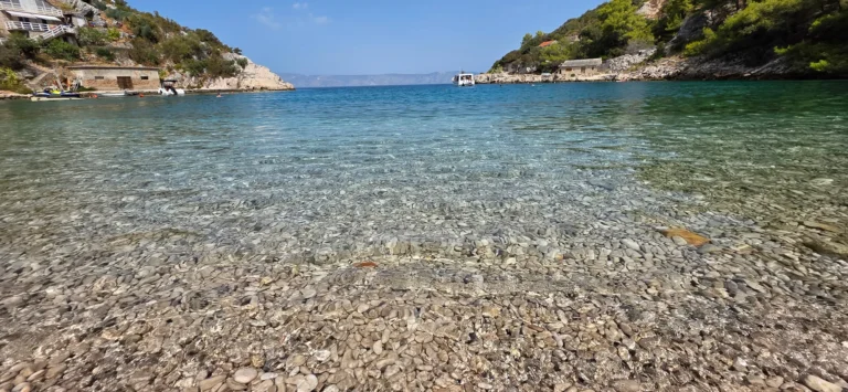 Clear water washes over a rocky seabed in a sheltered cove bordered by low cliffs and trees.