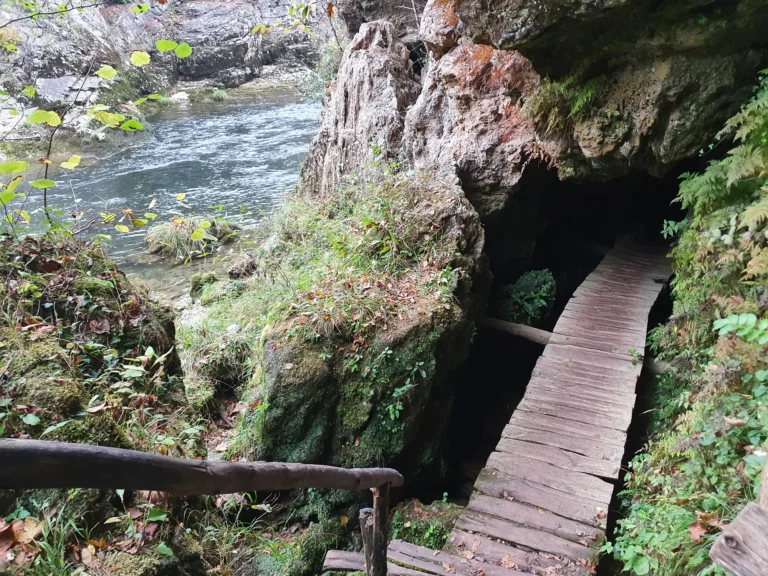 A wooden footbridge leads into a dark rocky cave beside a flowing stream and moss-covered rocks.