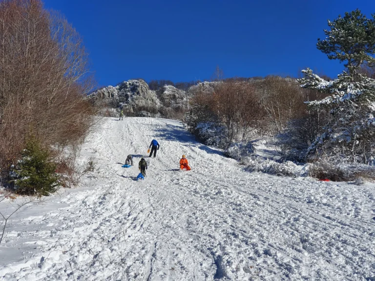 People sled and play on a snowy hillside among leafless trees and rocky outcrops.