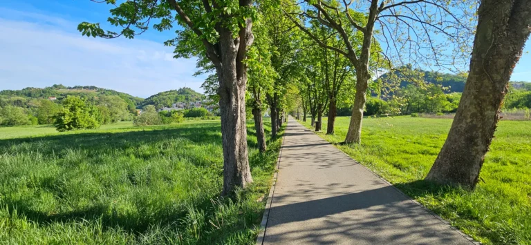 A paved path runs beneath a row of trees through green fields and rolling countryside.